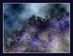 photo "Through the bushes on a night fog .."