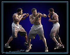 фото "Shadow Boxing in the Park"