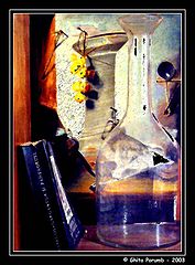 photo "Still Life"