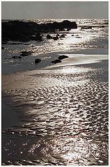 photo "Ornament of the sea"