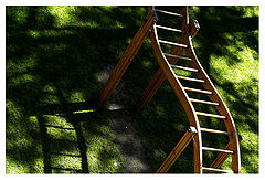 фото "Brown and Green"