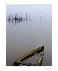 photo "Solitude"