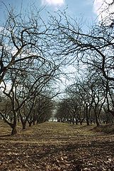 фото "the first warm spring day"