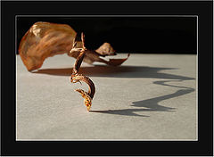 photo "Stroke"
