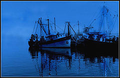 photo "Fishing boats"