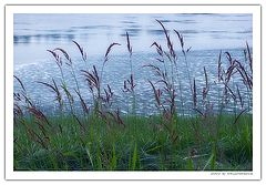 photo "Lakeside"