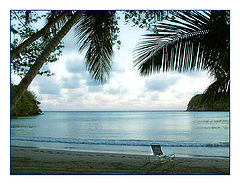 фото "... silence ..."