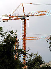 photo "My Yellow Cranes"