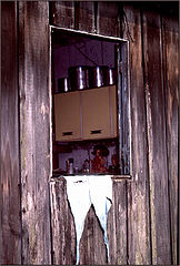 фото "Window"