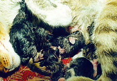 photo "New Life"