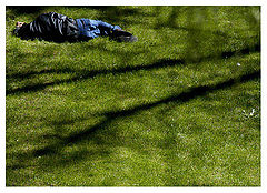 фото "Green and blue"