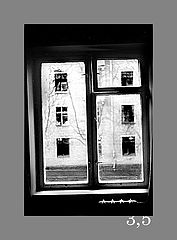 фото "3,5"