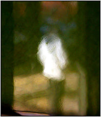 photo "without focus"
