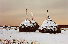 фото "Winter grasslands"