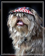 фото "Proud to be an American"