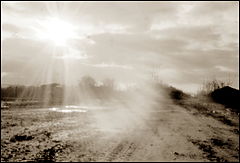photo "landscape #pinhole"