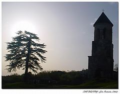 photo "The Belfry"