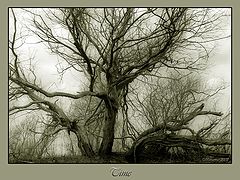 фото "время"