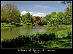 фото "A Peaceful Spring Afternoon"