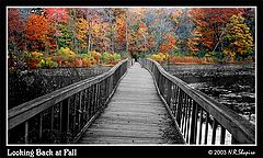 photo "Looking Back at Fall"