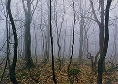 фото "ОСЕНЬ 97"
