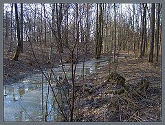 photo "Spring Etude in Blue Colors"