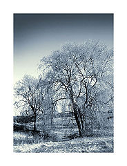фото "Майская зима"