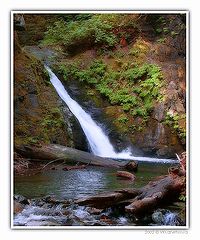 photo "Spring water"