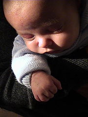 фото "My Baby"