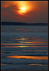 photo "Crows on Ice 2"