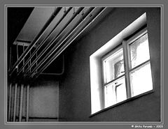 photo "Window"