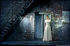 фото "Under the stairs"
