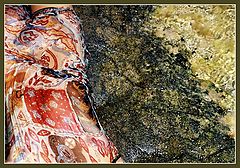 photo "* * *"