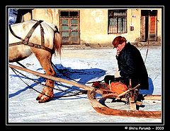 photo "Sledge"