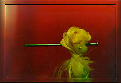 photo "kill your darling"