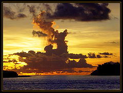 photo "Dragons hunt during a sunset."