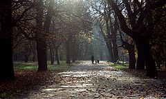 photo "Walk"