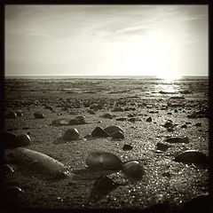 photo "Sand and shells"