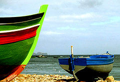 photo "boats"