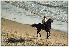 photo "Sea cowboy"