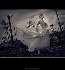 фото "Angel....."