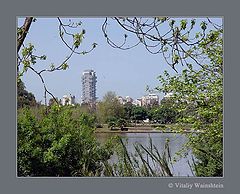 photo "OASIS"