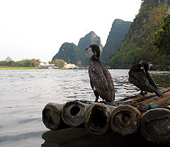 фото "waiting for a fish"