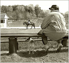 photo "Not only about legs..."