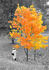 photo "Parting"