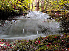 photo "small waterfall"