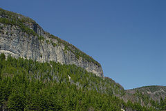 photo "BonAmi Cape"
