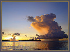 photo "The one who hunts on dragons who hunt during a sun"