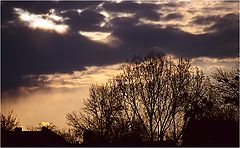 фото "Evening"