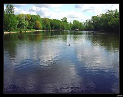 photo "summer etude"